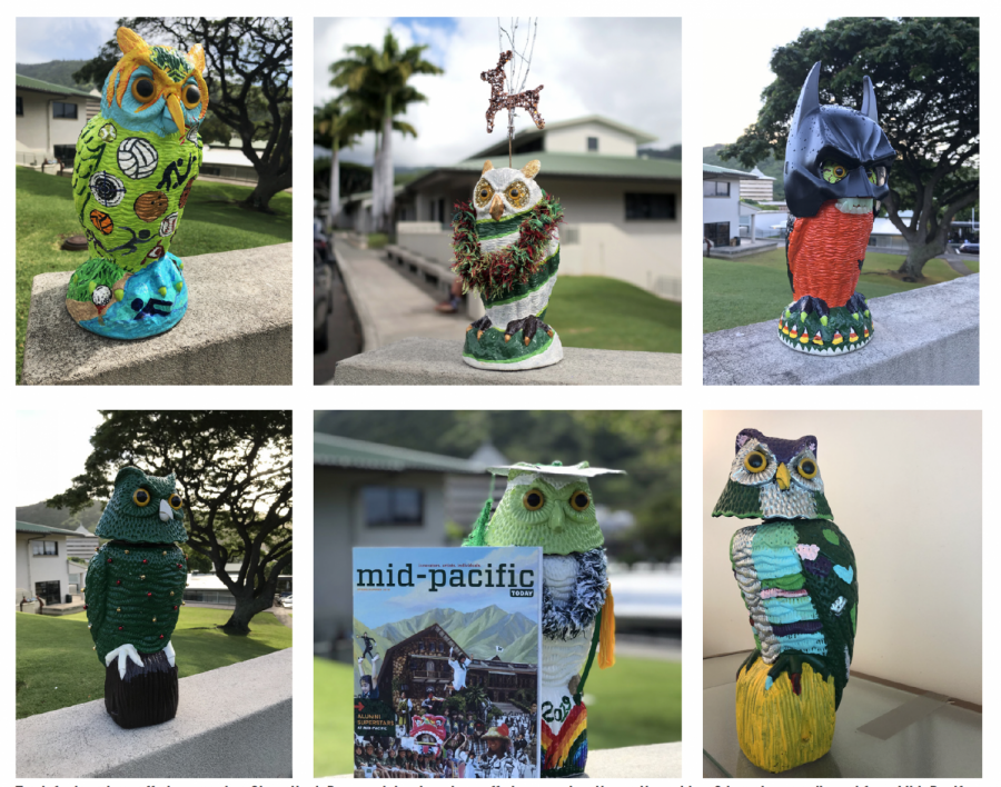 Some of the campus owls on the Mid-Pacific campus. Someone places the owls throughout the school year. 