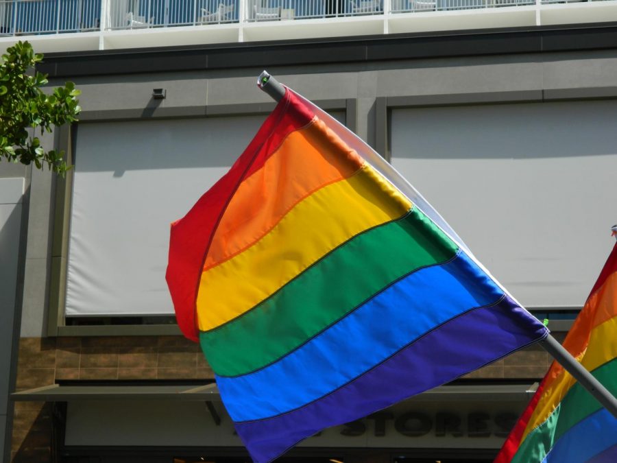 A+pride+flag+is+waved+down+the+streets+of+Waikiki+for+Honolulu+Pride+as+marchers+in+the+parade+show+their+camaraderie+and+brotherhood+in+celebrating+themselves+and+those+around+them.+