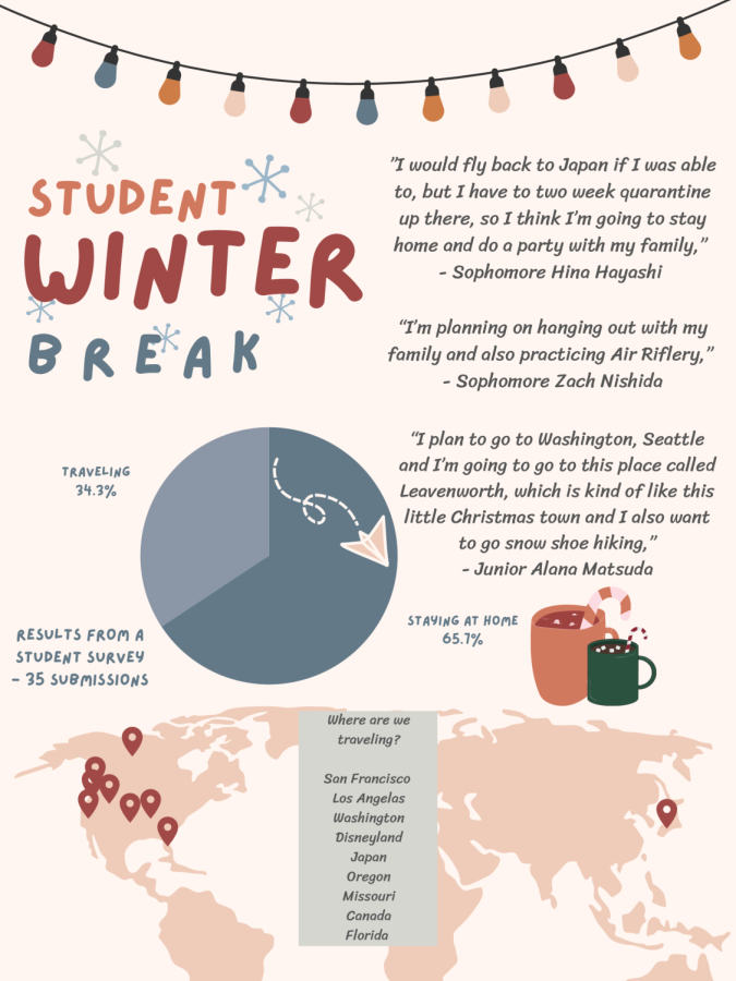 Students Share their Plans for Winter Break