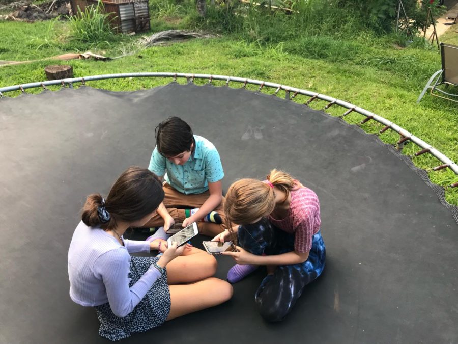 Kaleo Jhaveri Evans, Emi Dubrawski and Gracie Kelley sit on their phones during a hangout.