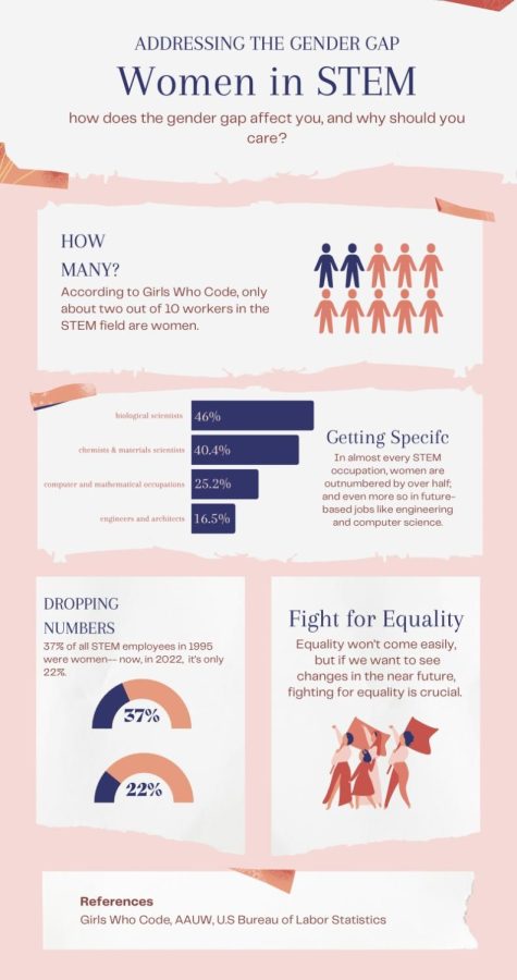 Infographic shows statistics depicting the number of women in STEM fields.