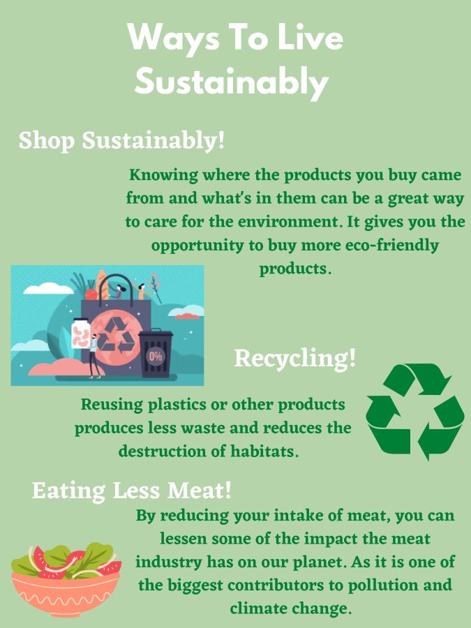 Ideas to live sustainably in every day life and personally take a hand in being environmentally friendly. 