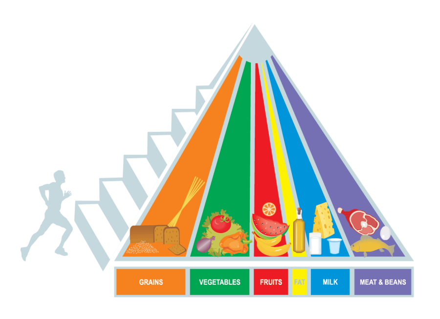 The nutritional guidelines set by the USDA before 2011. 