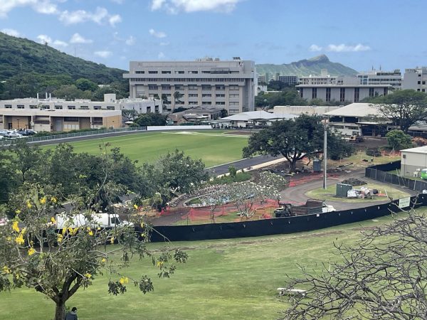 View of the Track, Spring, and Field’s Current State.