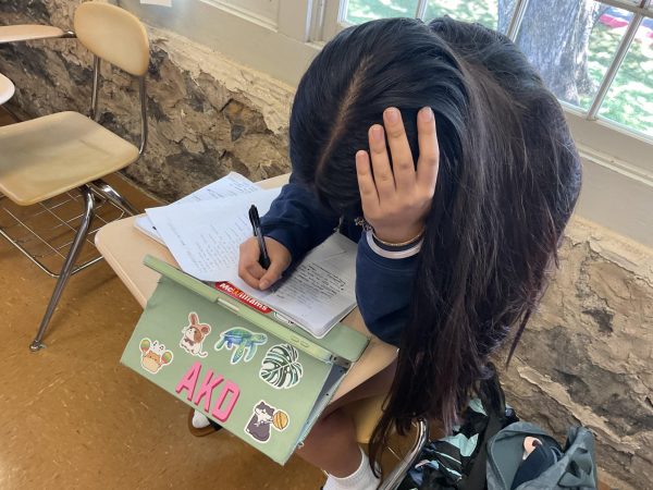 Student stressing over studying for multiple tests